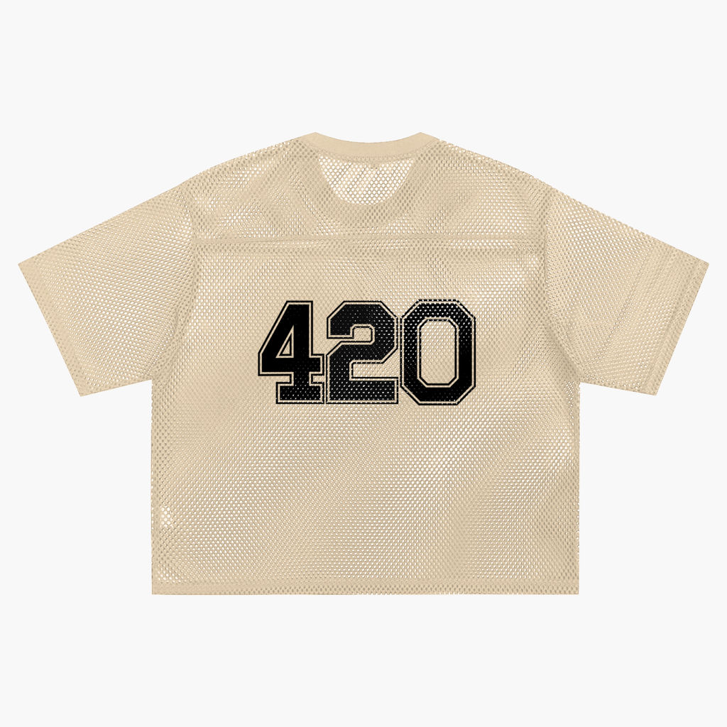 "Elevated + Dank Collar" See-through Boxy Net T-Shirt