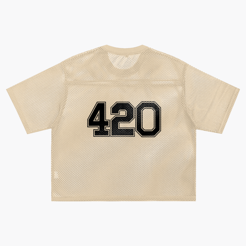 "Elevated + Dank Collar" See-through Boxy Net T-Shirt